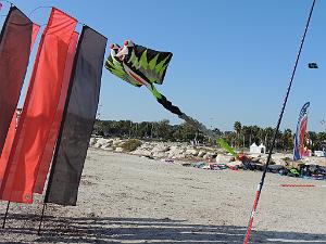 2024 11 02 EN FLANANT SUR SANARY (108)